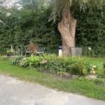 Cape Neddick Oceanside Campground