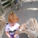 York Beach Camper Park