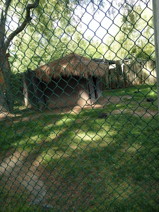 Burnette's Campground Picture 7