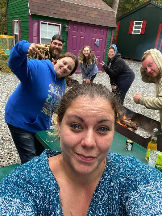 Camp laughing grass Picture 2