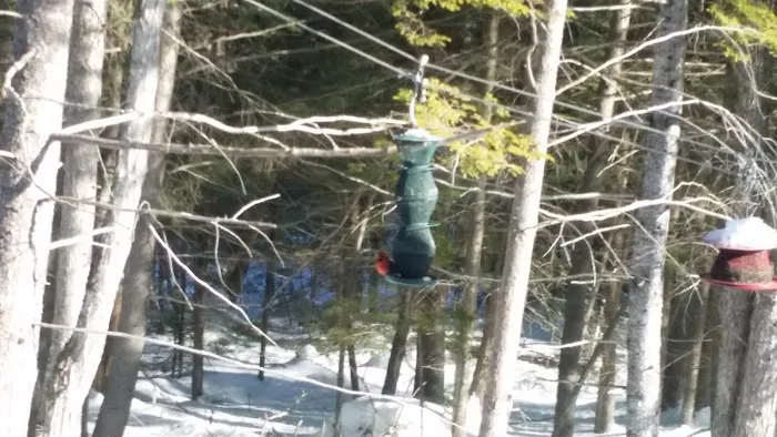 Bear Mountain Village Campground Picture 6