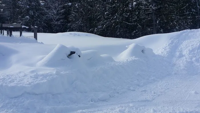 Bear Mountain Village Campground Picture 4