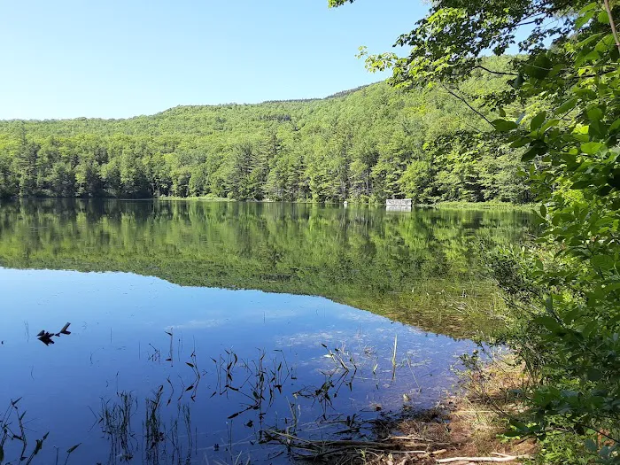 Crocker Pond Campground Picture 6