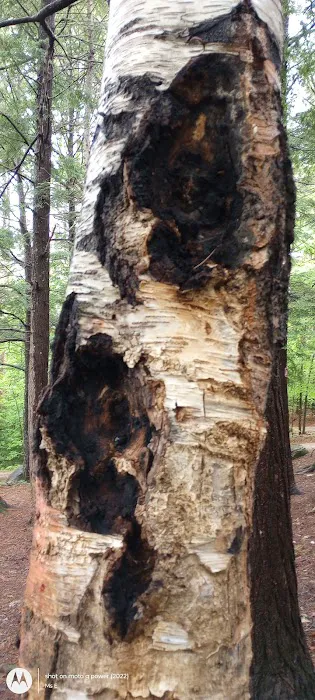 Crocker Pond Campground Picture 2