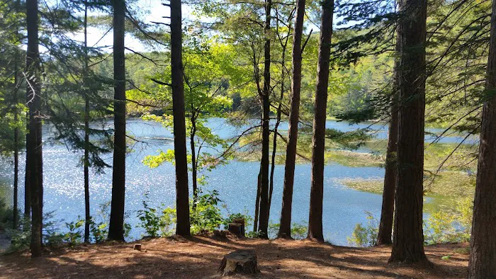 Crocker Pond Campground Picture 10