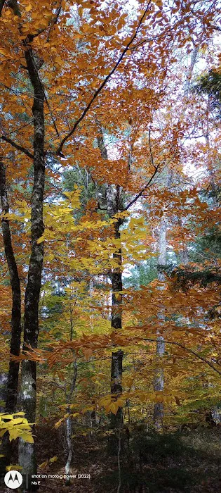 Crocker Pond Campground Picture 7