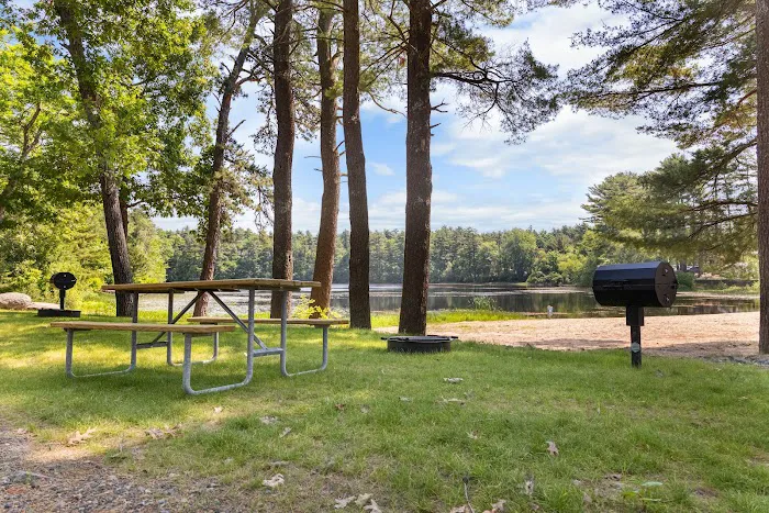 Yogi Bear's Jellystone Park Camp-Resort: Cranberry Acres in Carver, MA Picture 2