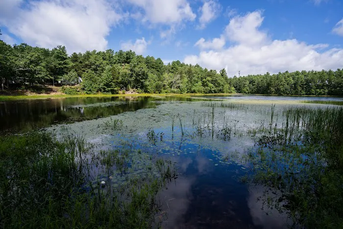 Yogi Bear's Jellystone Park Camp-Resort: Cranberry Acres in Carver, MA Picture 7