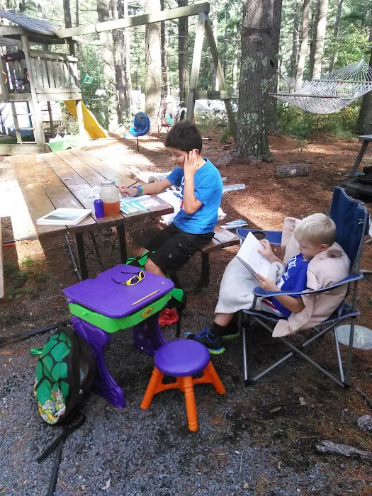 Pine Wood Way Campground Picture 2