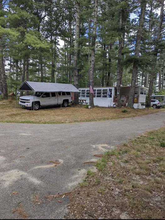 Pine Wood Way Campground Picture 6