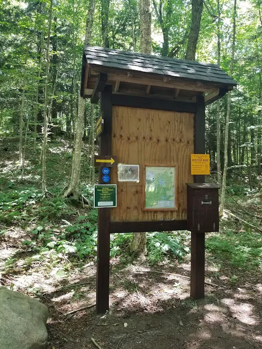 Cranberry Lake Campground Picture 7