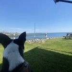 Libby's Oceanside Camp