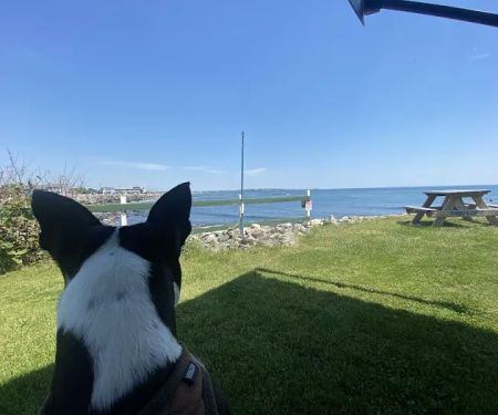 Libby's Oceanside Camp