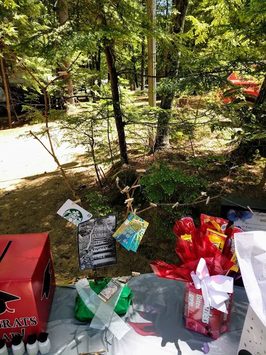 Two Lakes Camping Area Picture 5