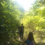 Oxford Pines Mobile Home Park