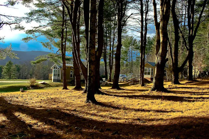 Stony Brook Campground Picture 8