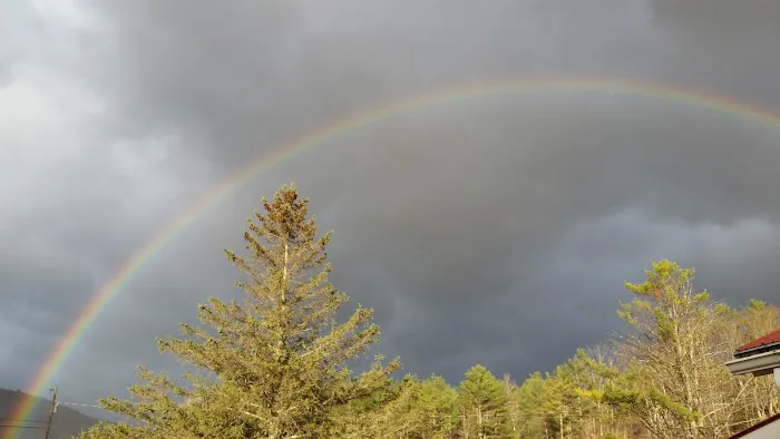 Stony Brook Campground Picture 6