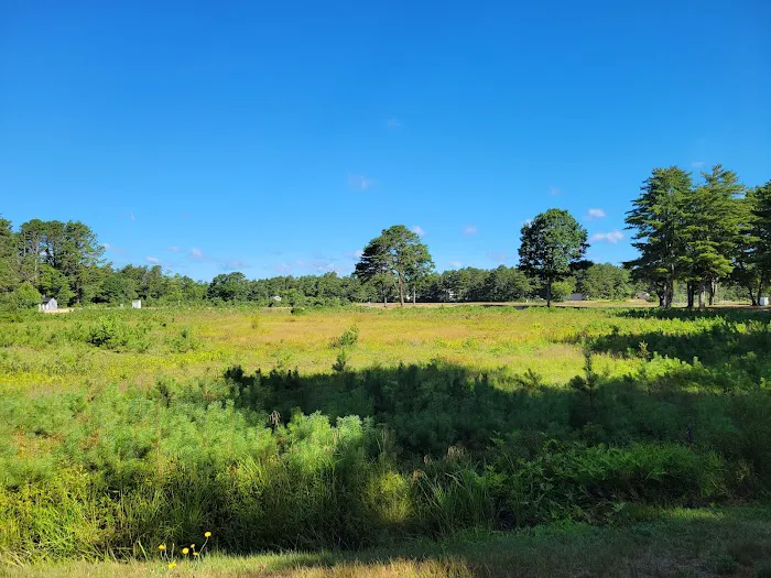 Cape Cod Maple Park Campground & RV Park Picture 2