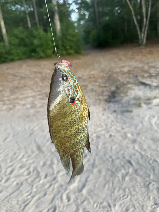Sandy Pond Campground Picture 5