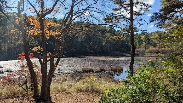 Sandy Pond Campground Picture 7