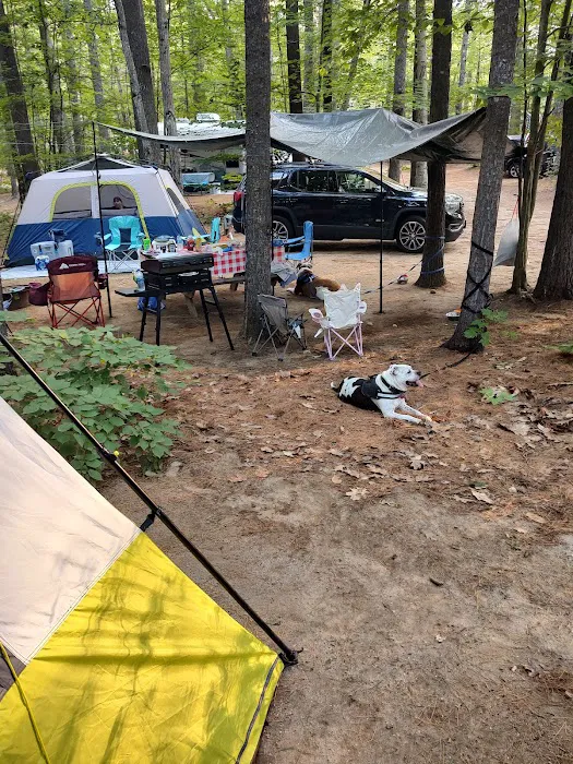 Poland Spring Campground Picture 6