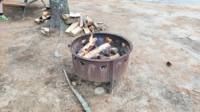 Camp Tall Pines Picture 9