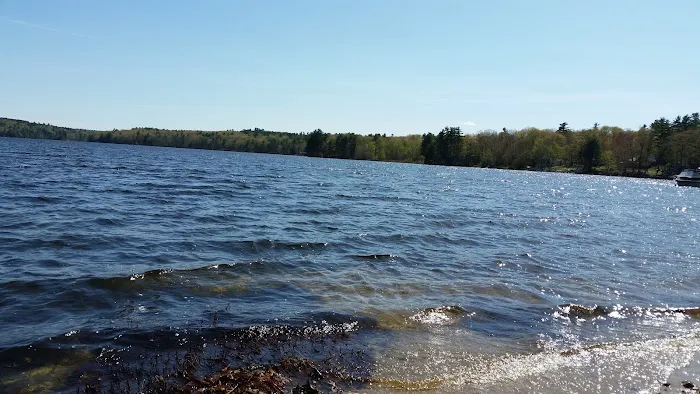 Camp Tall Pines Picture 2