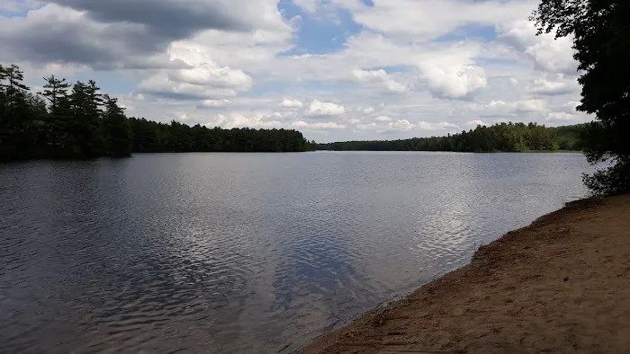 Camp Tall Pines Picture 3