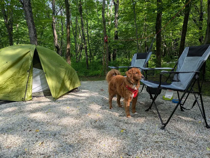 Grafton Notch Campground Picture 3