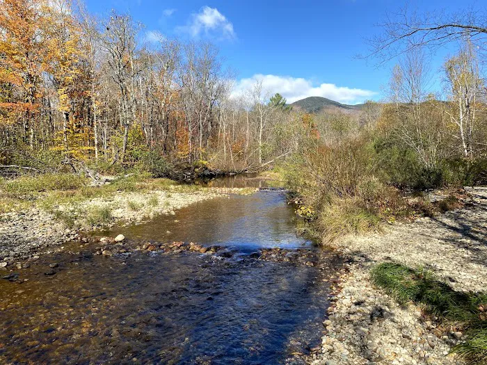 Grafton Notch Campground Picture 7