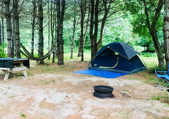 Lone Mountain Riverfront Campground Picture 5