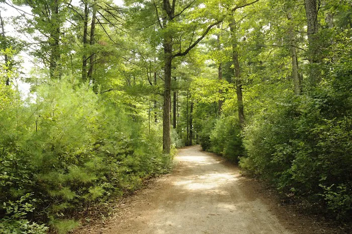 Thousand Trails Gateway to Cape Cod Picture 9