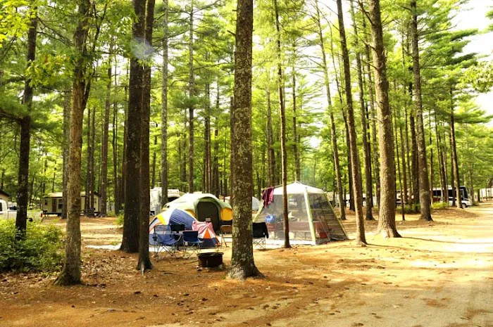 Thousand Trails Gateway to Cape Cod Picture 4