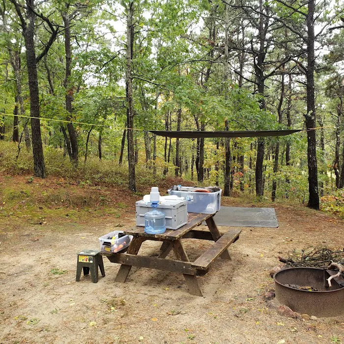 Shawme-Crowell State Forest Picture 4