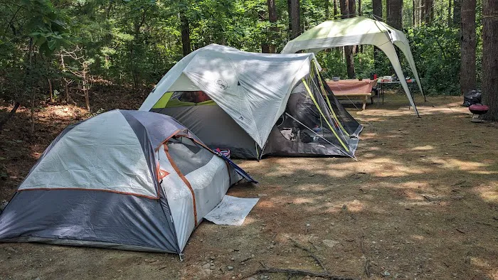 Shawme-Crowell State Forest Picture 6