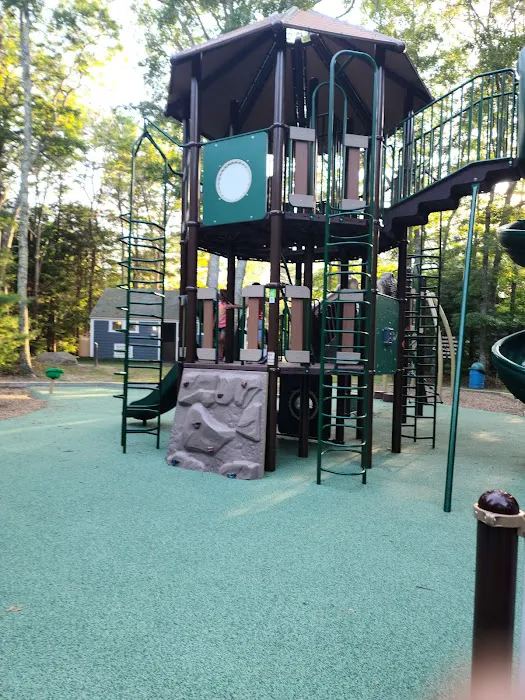 Shawme-Crowell State Forest Picture 3