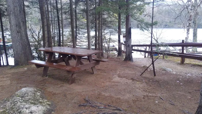 South Arm Campground Picture 6