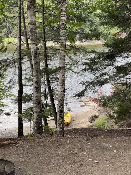 South Arm Campground Picture 9