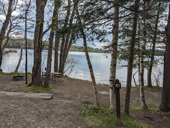 Umbagog Lake State Park Campground Picture 4
