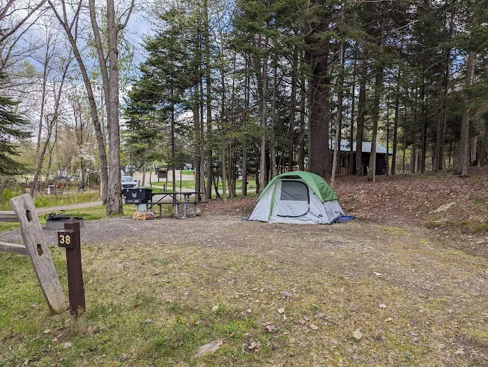Umbagog Lake State Park Campground Picture 3