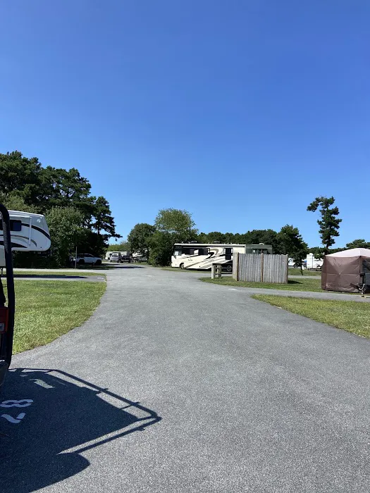 Scusset Beach Campground Picture 1