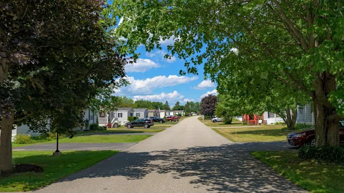 Town & Country Village Picture 4