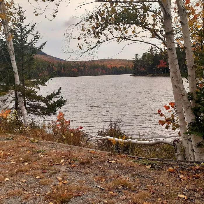 Mt Blue State Park Campground Picture 3