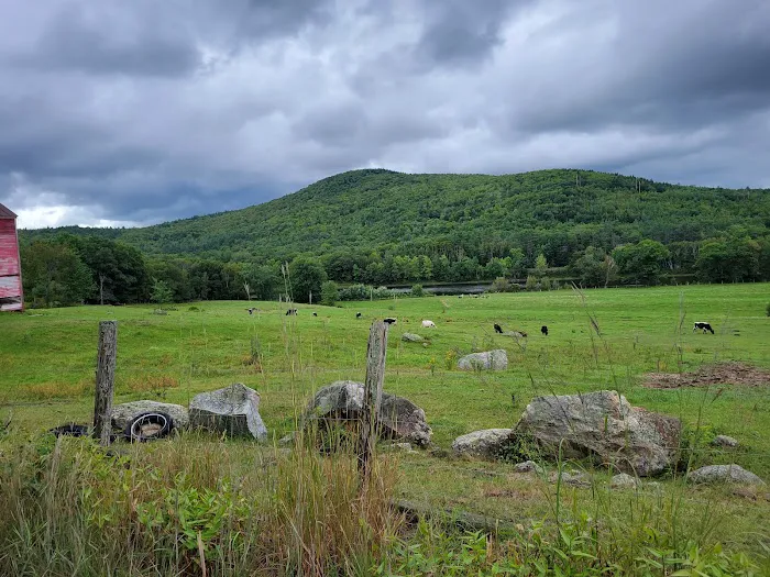 Mountain View Campground Picture 9