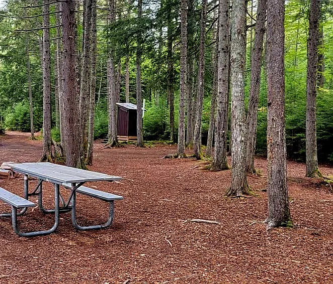 Mollidgewock State Park Campground Picture 2