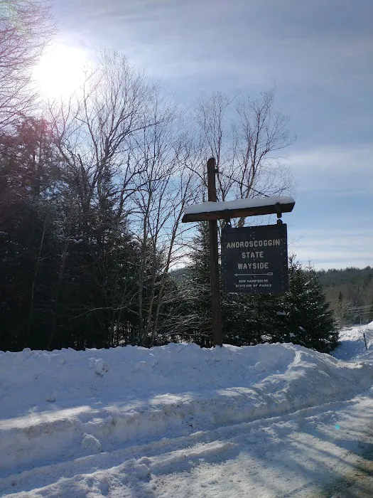 Mollidgewock State Park Campground Picture 1