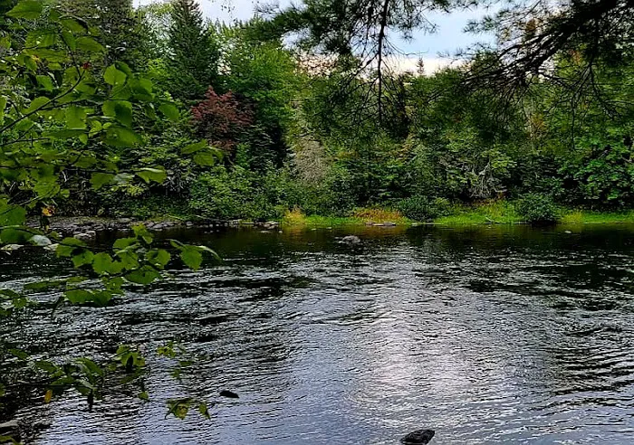 Mollidgewock State Park Campground Picture 5