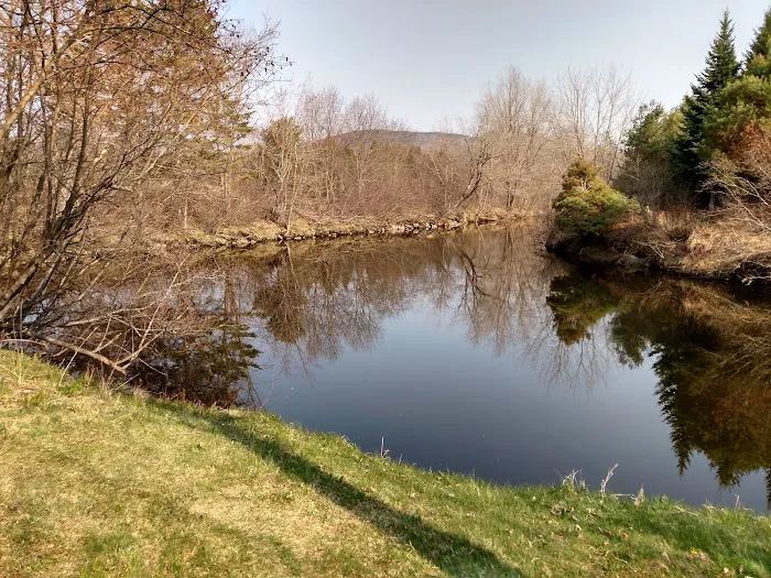 Clear Stream Campground Picture 8