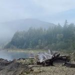 Black Brook Cove Campground