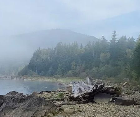 Black Brook Cove Campground